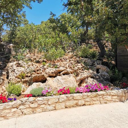 Villa Ermis - The Cretan Castello Kástellos Exteriér fotografie