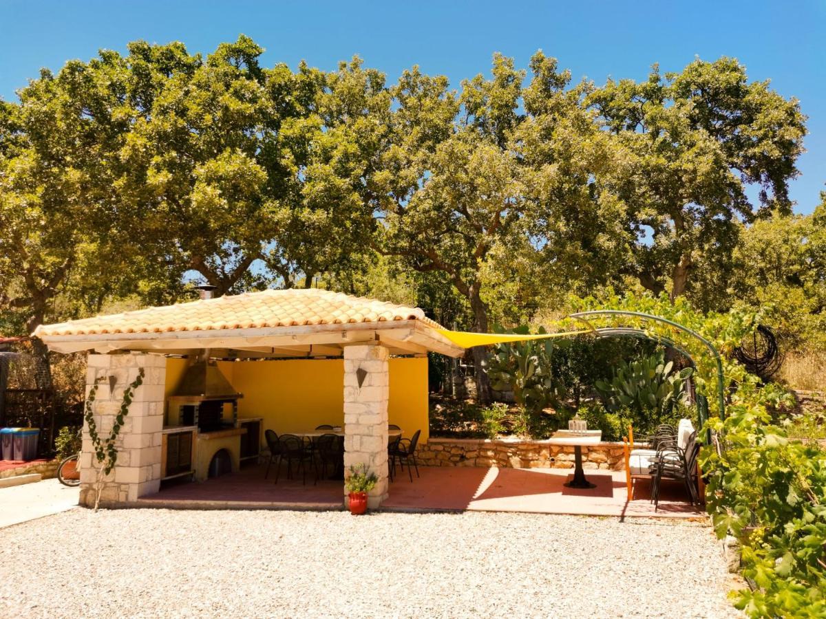 Villa Ermis - The Cretan Castello Kástellos Exteriér fotografie