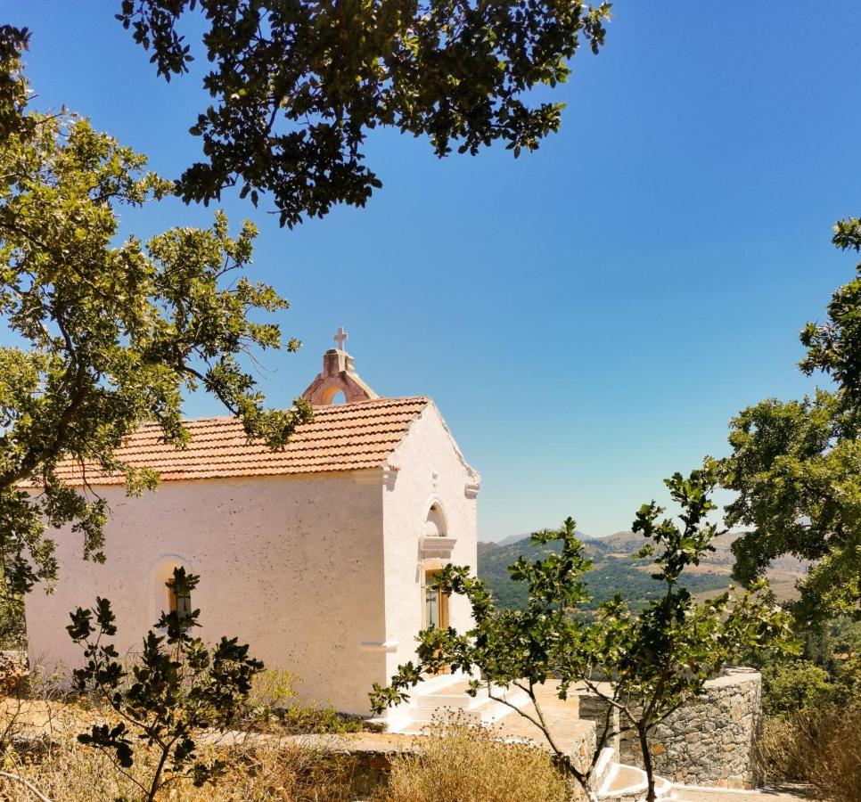 Villa Ermis - The Cretan Castello Kástellos Exteriér fotografie