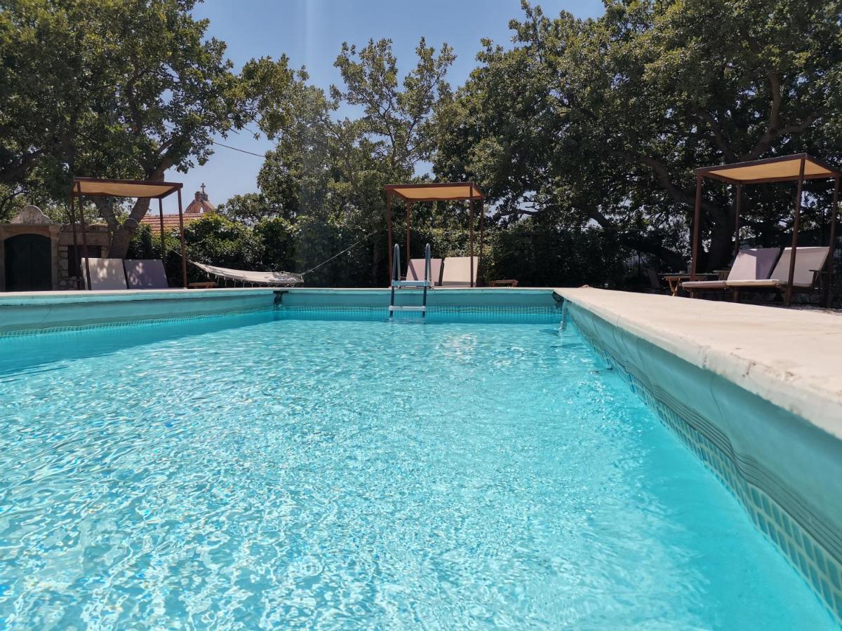 Villa Ermis - The Cretan Castello Kástellos Exteriér fotografie