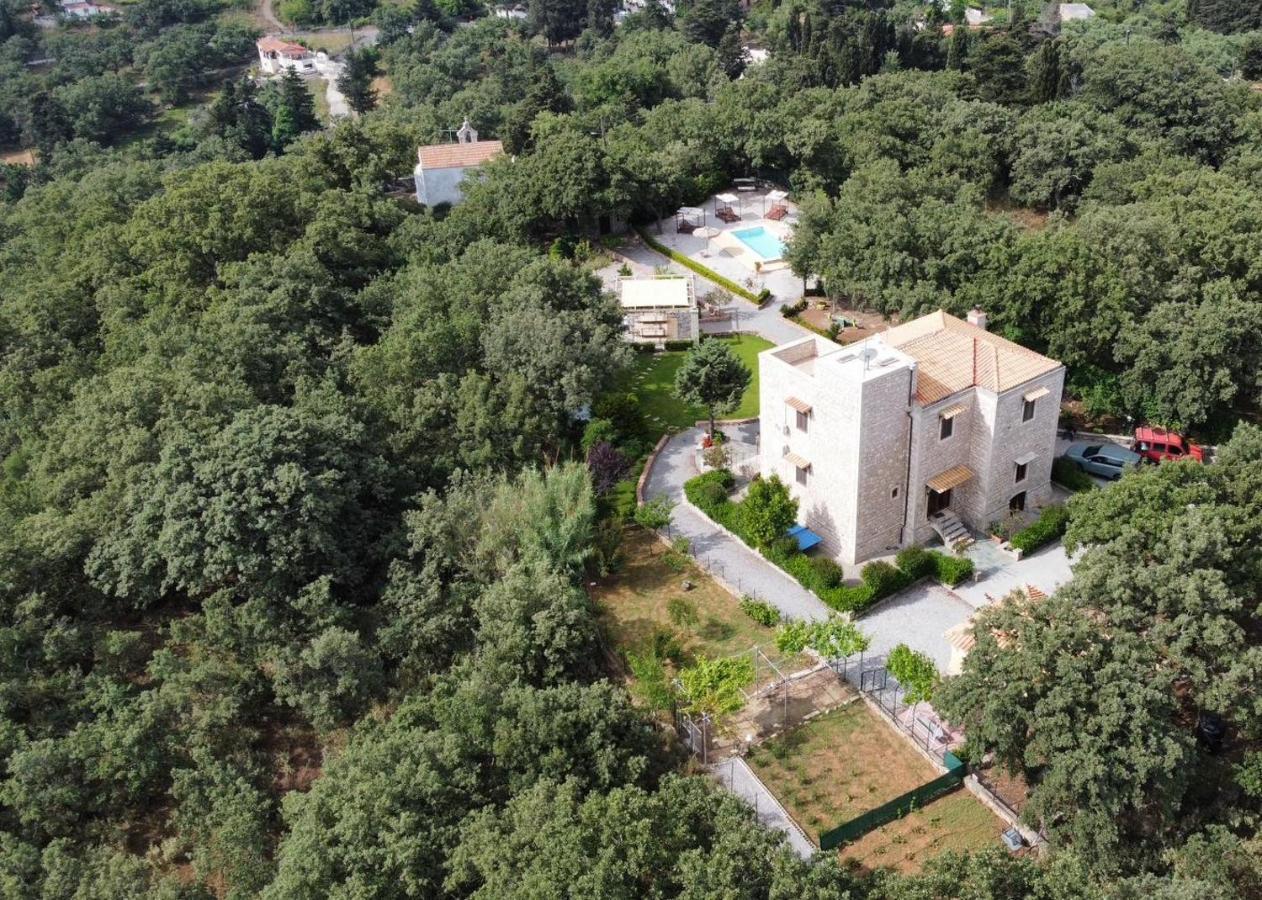 Villa Ermis - The Cretan Castello Kástellos Exteriér fotografie